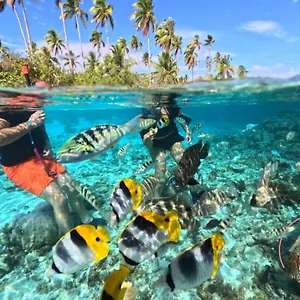 Hutiarii House & Car & Excursions Raiatea Hébergement de vacances